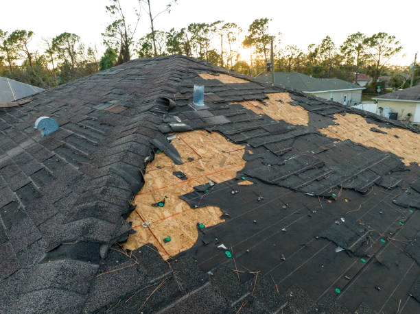 Waterproofing in Snead, AL