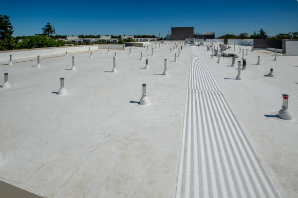 Best Gutter Installation and Repair  in Snead, AL